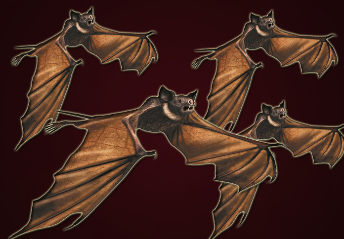 batsflying